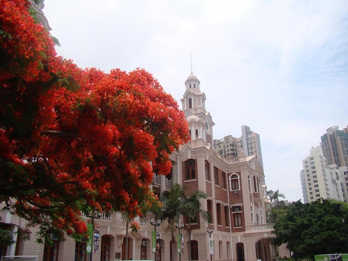 分享香港留學(xué)各專業(yè)申請秘籍，您知道嗎？