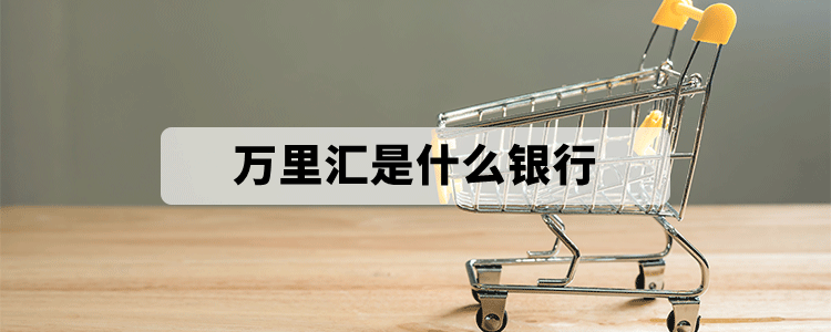 詳細(xì)介紹萬(wàn)里匯是什么銀行？