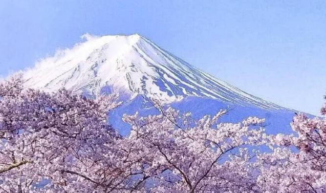 日本公司注冊(cè)有哪些要求？